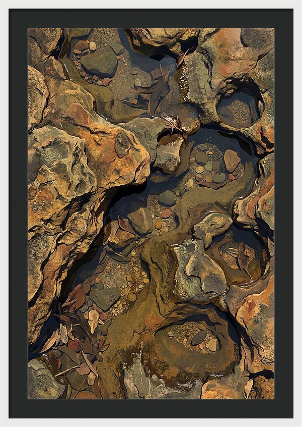 Rock Pool Reflections
