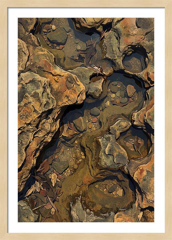 Rock Pool Reflections