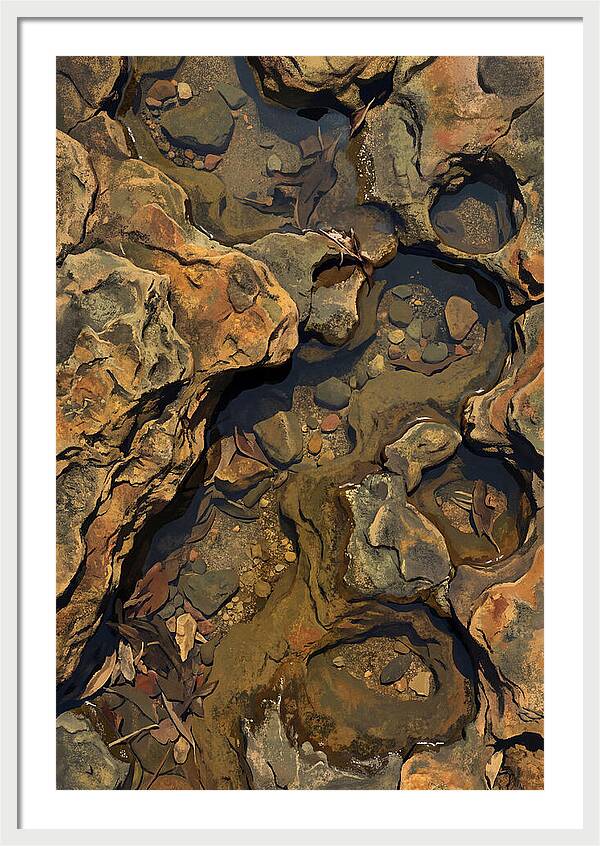 Rock Pool Reflections