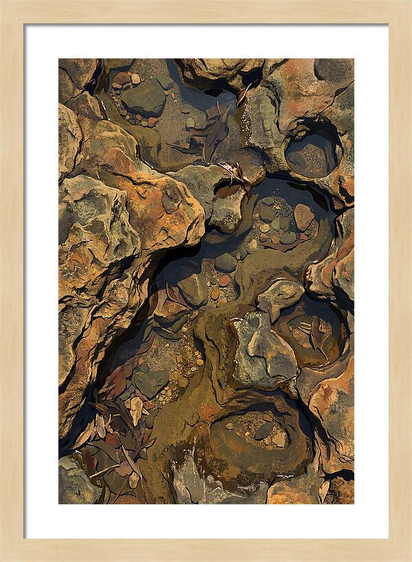 Rock Pool Reflections