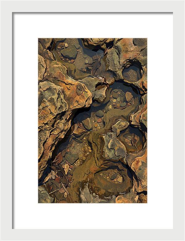 Rock Pool Reflections