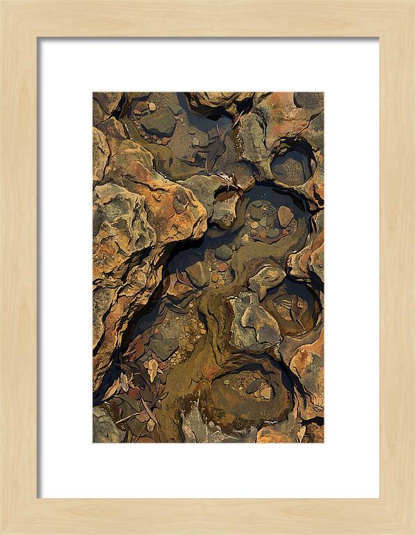 Rock Pool Reflections