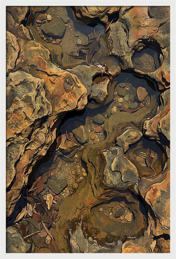 Rock Pool Reflections
