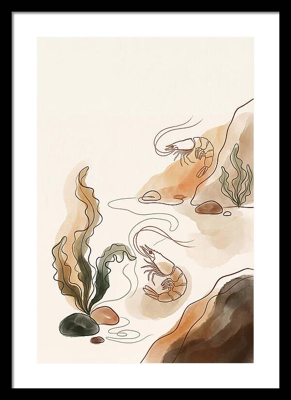 Rockpool Micro World