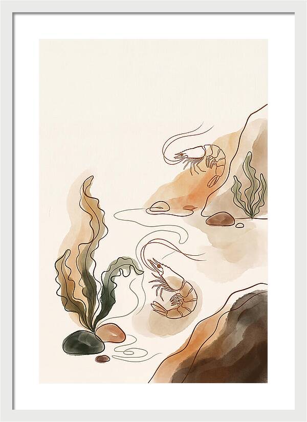 Rockpool Micro World