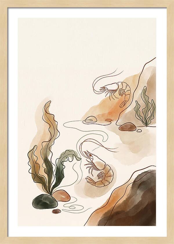 Rockpool Micro World
