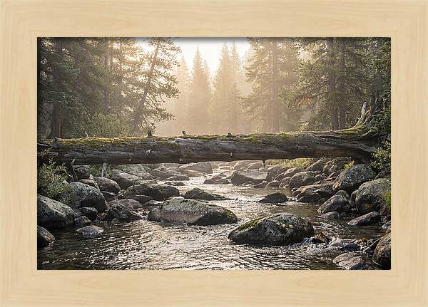 Rocky Mountain Serenity