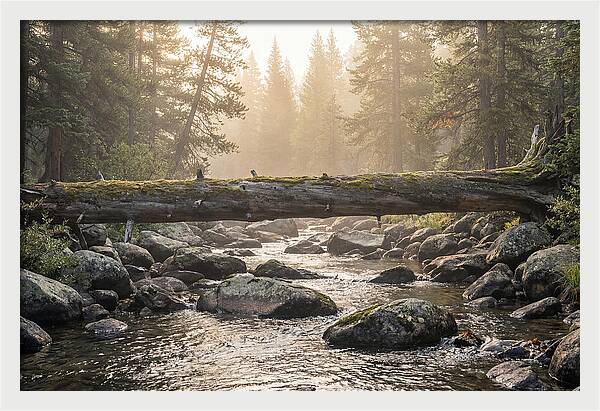 Rocky Mountain Serenity