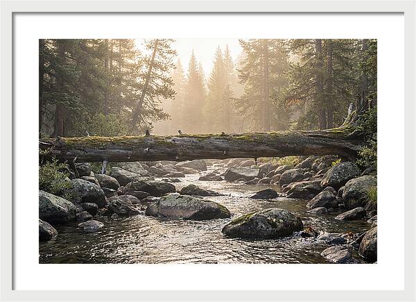 Rocky Mountain Serenity