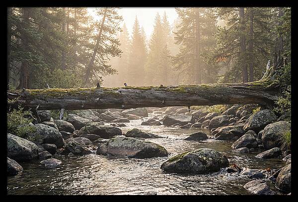 Rocky Mountain Serenity