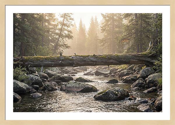 Rocky Mountain Serenity
