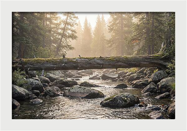 Rocky Mountain Serenity