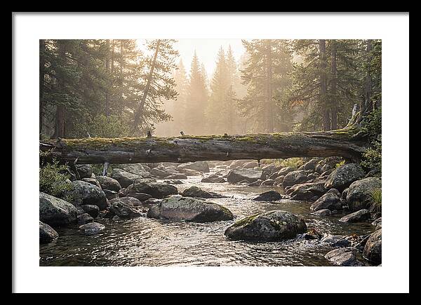 Rocky Mountain Serenity