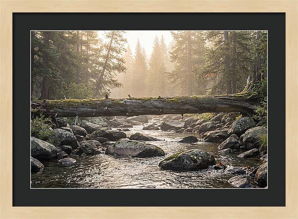 Rocky Mountain Serenity