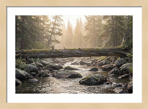 Rocky Mountain Serenity