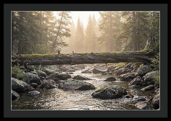 Rocky Mountain Serenity
