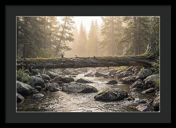 Rocky Mountain Serenity