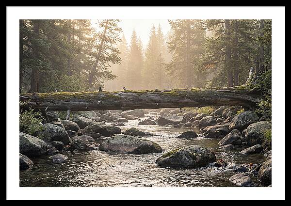 Rocky Mountain Serenity