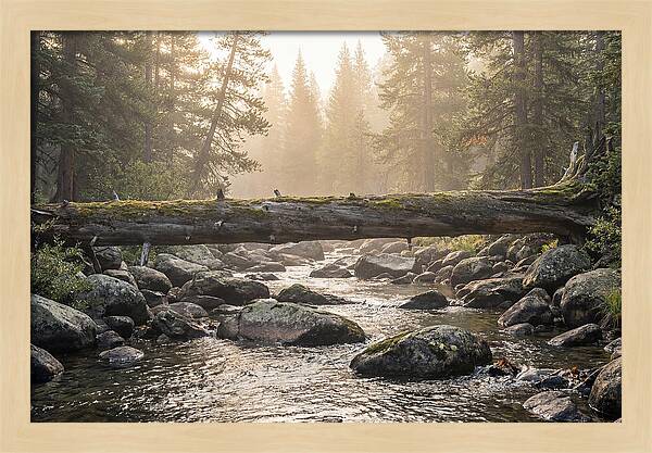 Rocky Mountain Serenity