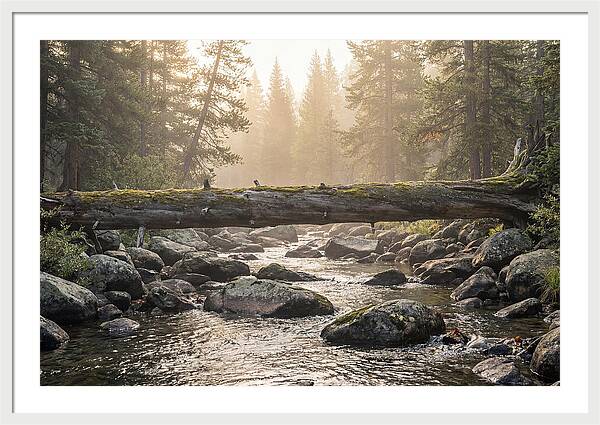 Rocky Mountain Serenity