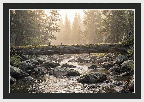 Rocky Mountain Serenity