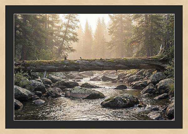 Rocky Mountain Serenity