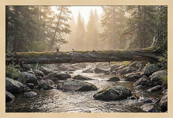 Rocky Mountain Serenity