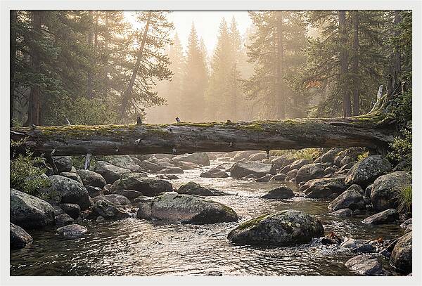 Rocky Mountain Serenity