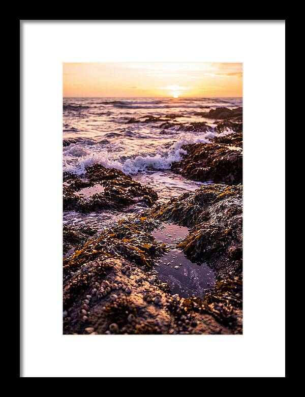 Rocky Shore Serenity