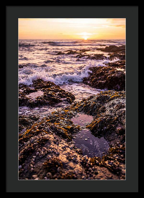 Rocky Shore Serenity