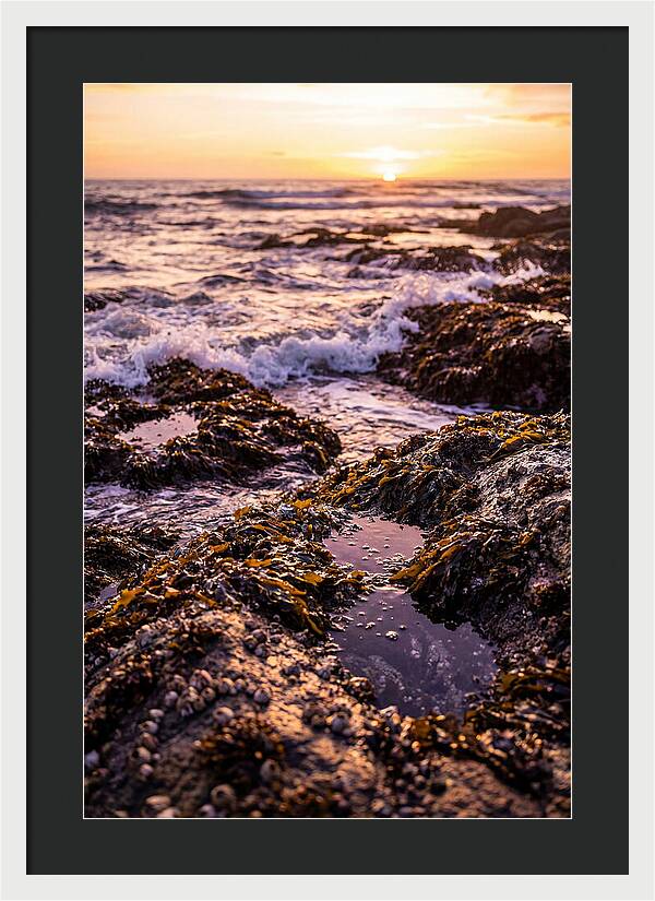 Rocky Shore Serenity