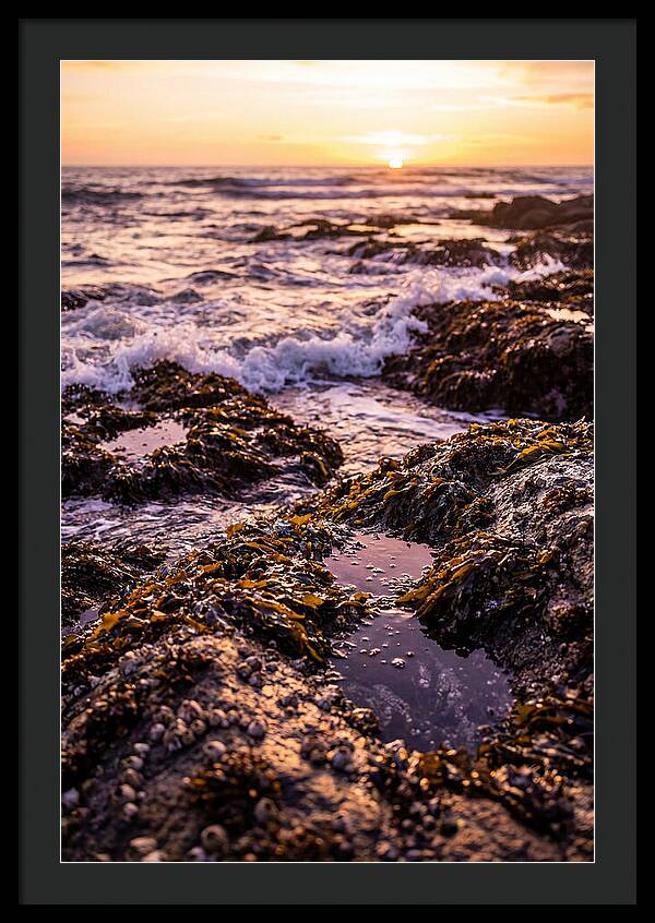 Rocky Shore Serenity