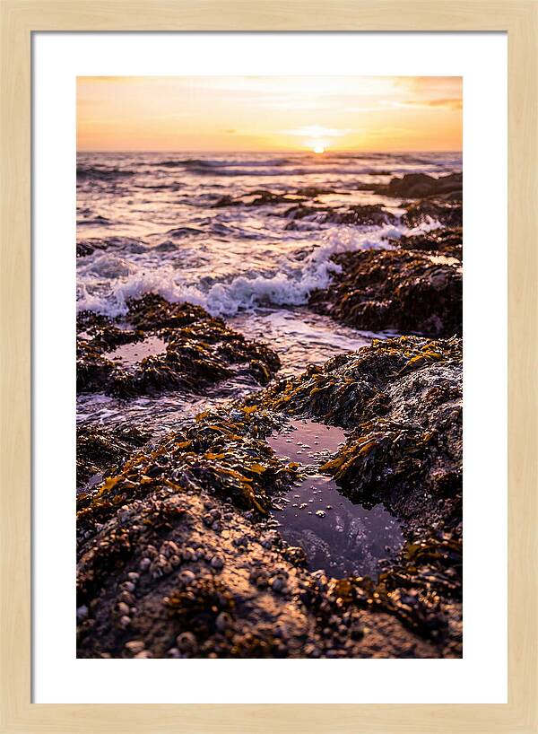 Rocky Shore Serenity