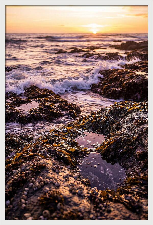 Rocky Shore Serenity