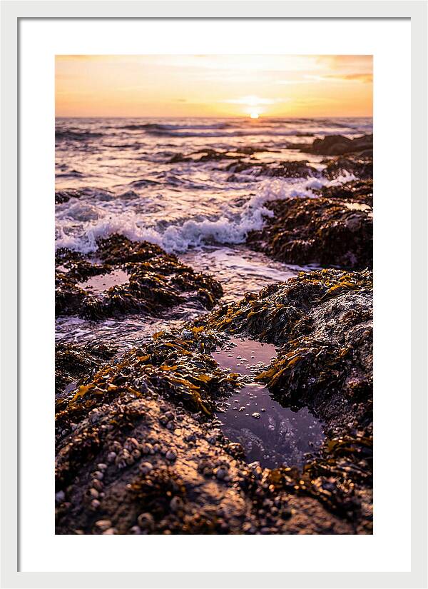 Rocky Shore Serenity