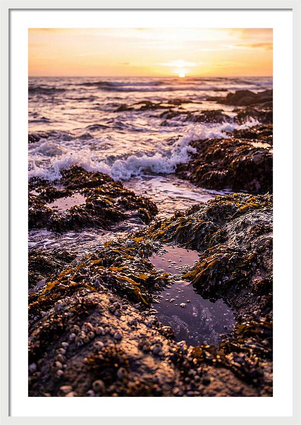 Rocky Shore Serenity