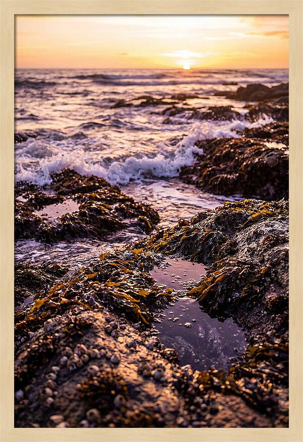 Rocky Shore Serenity
