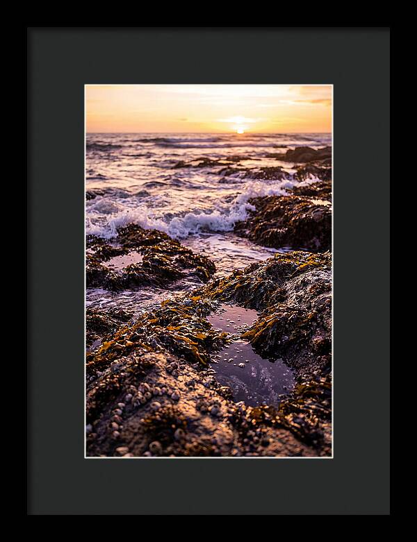 Rocky Shore Serenity