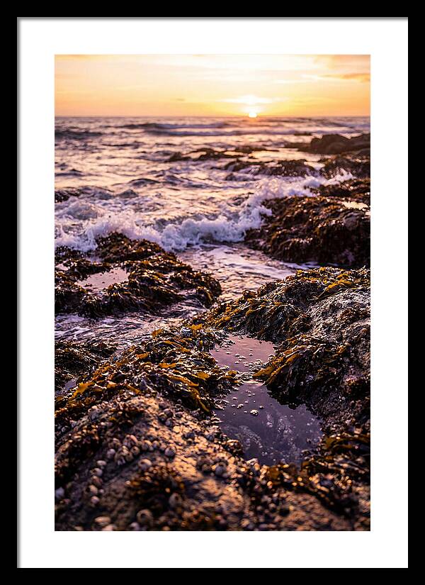 Rocky Shore Serenity