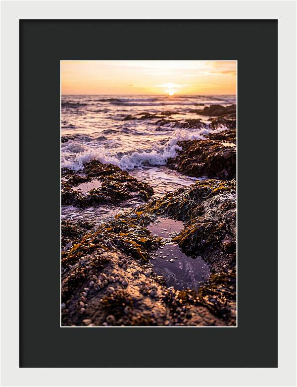 Rocky Shore Serenity