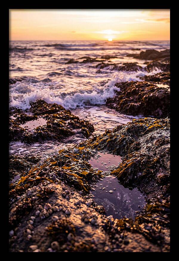 Rocky Shore Serenity