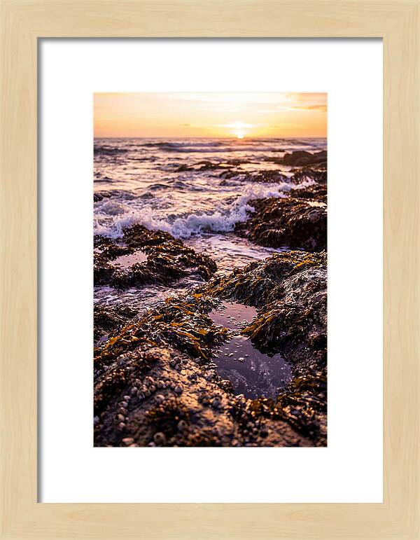 Rocky Shore Serenity
