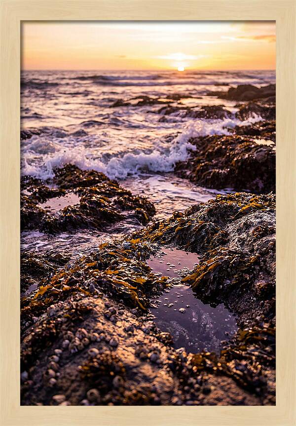 Rocky Shore Serenity