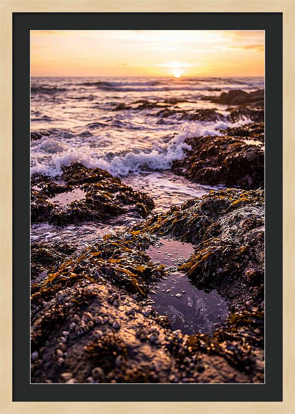 Rocky Shore Serenity