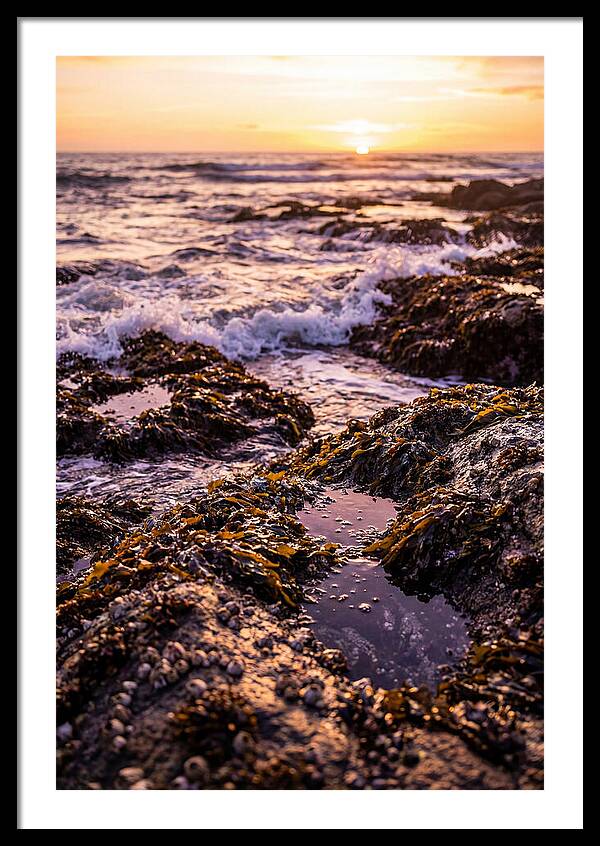 Rocky Shore Serenity