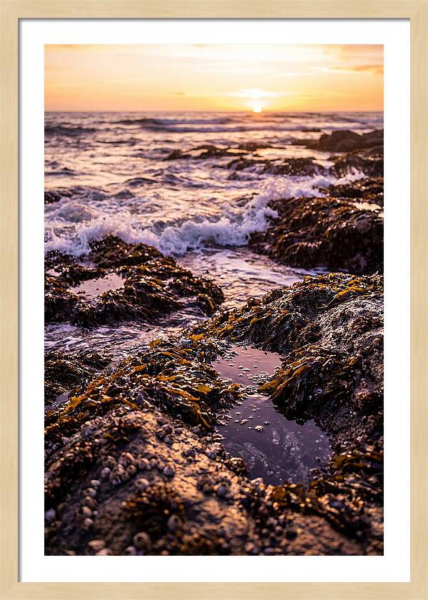 Rocky Shore Serenity