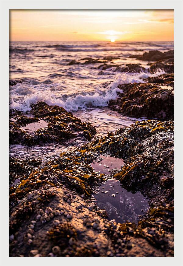 Rocky Shore Serenity