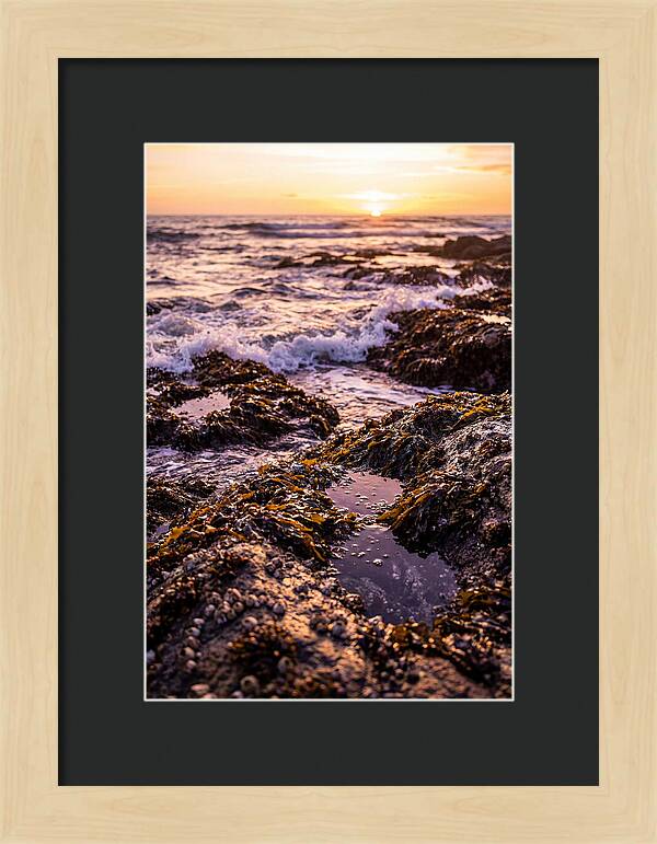 Rocky Shore Serenity