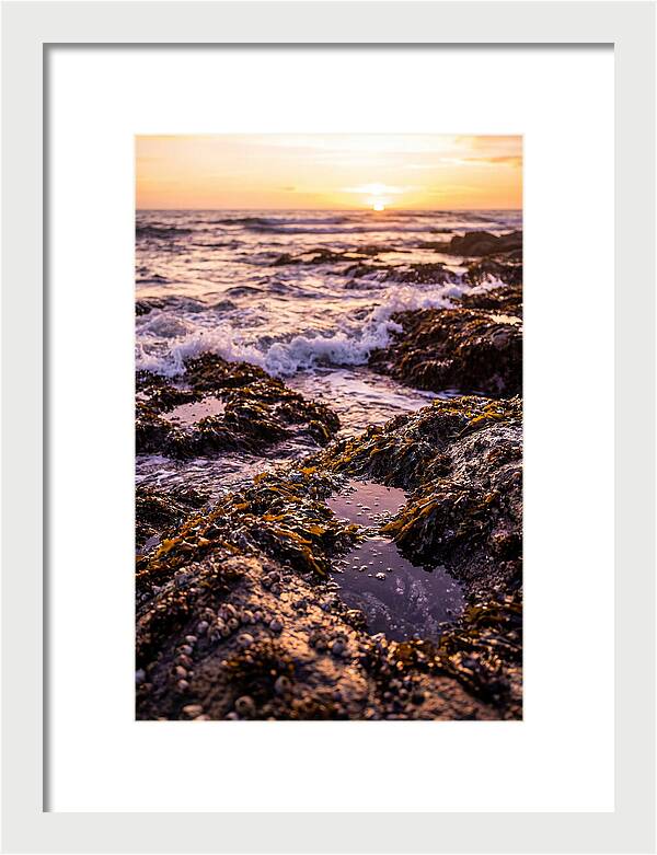 Rocky Shore Serenity