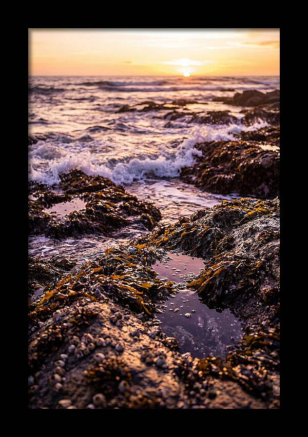 Rocky Shore Serenity